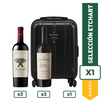 Combo Etchart Assemblage x 3 + Arnardo B x 3 + Carry On Etchart x 1