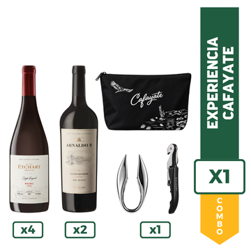 Combo Etchart Arnaldo B. x 2 + Etchart SV Marbec 2023 x 4 + Cortacápsula + Neceser + Sacarcorchos Mango Negro
