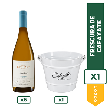 Combo 1 Etchart Viognier x 6 + 1 Frapera Etchart x 1